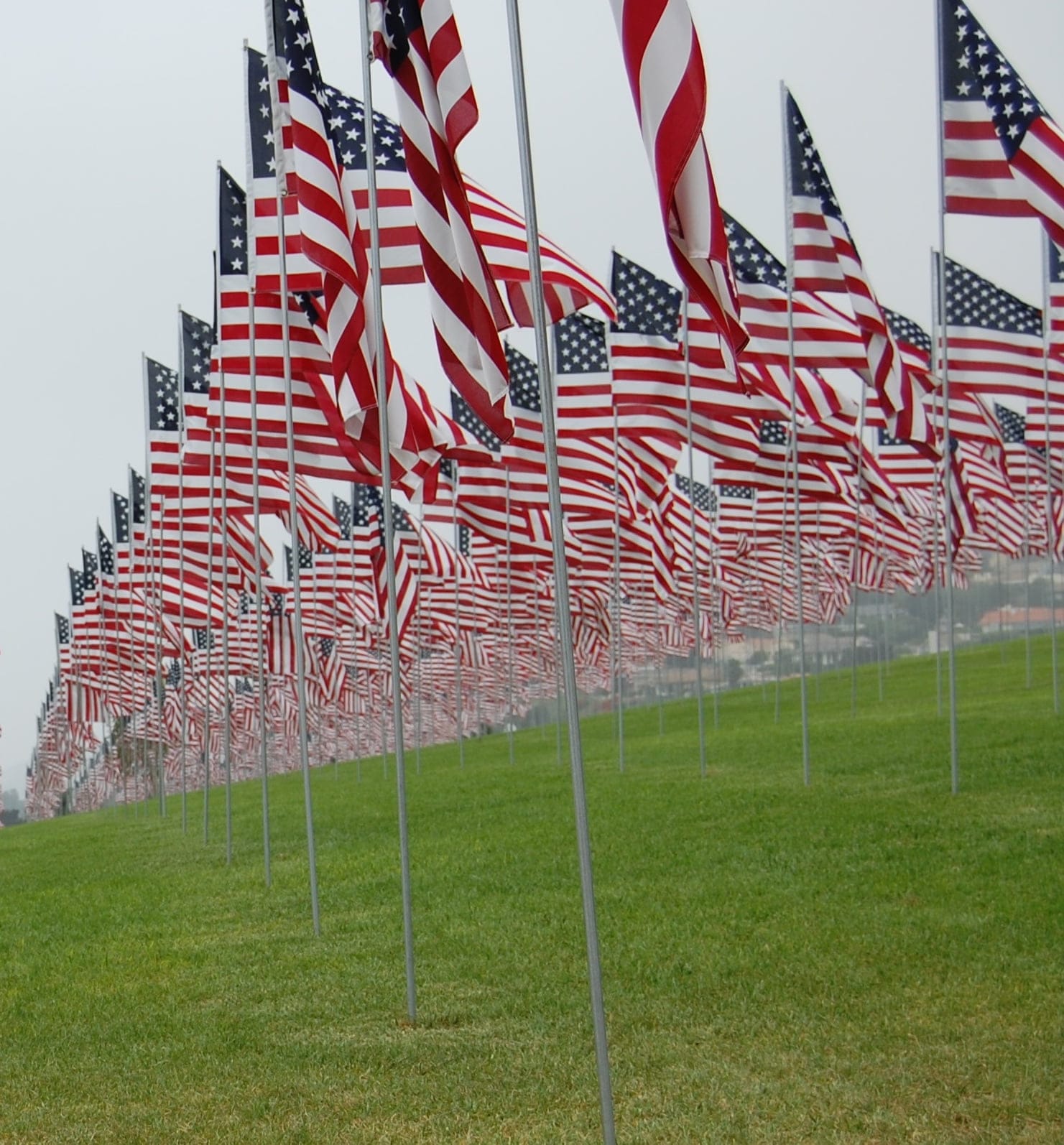 american flags Veterans Day