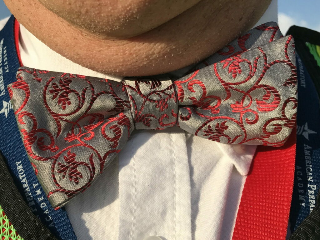 FullSizeRender 3 scaled 1 Bow Tie Tuesday