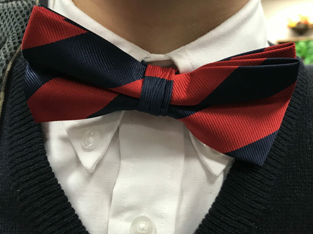 FullSizeRender 4 scaled 1 Bow Tie Tuesday